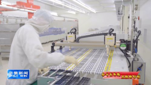 科技引领未来，创新驱动发展 计算机技术开发的浪潮与方向